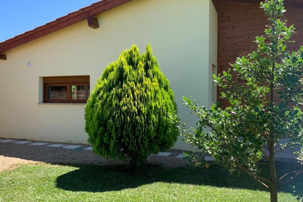 Quinta Pedro E Ines Villa Braganca Bagian luar foto