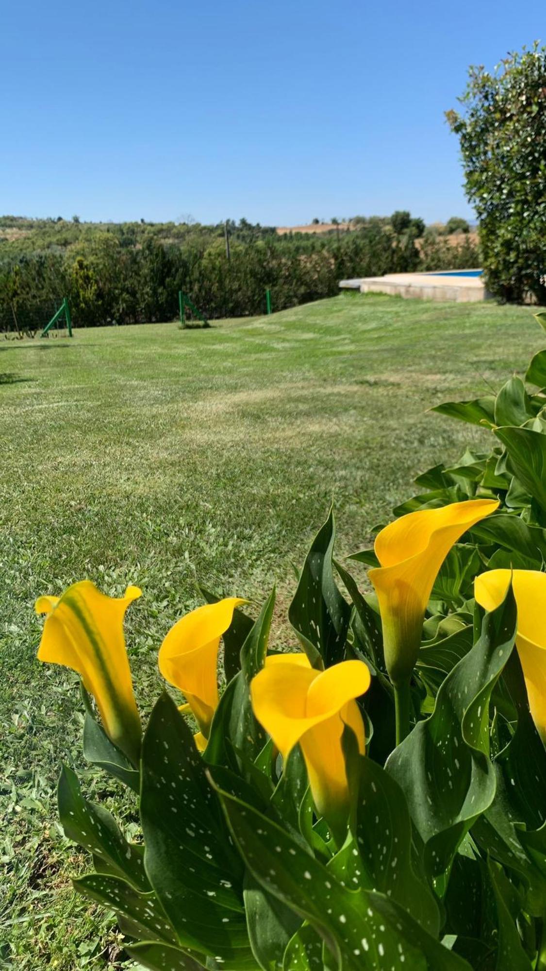 Quinta Pedro E Ines Villa Braganca Bagian luar foto